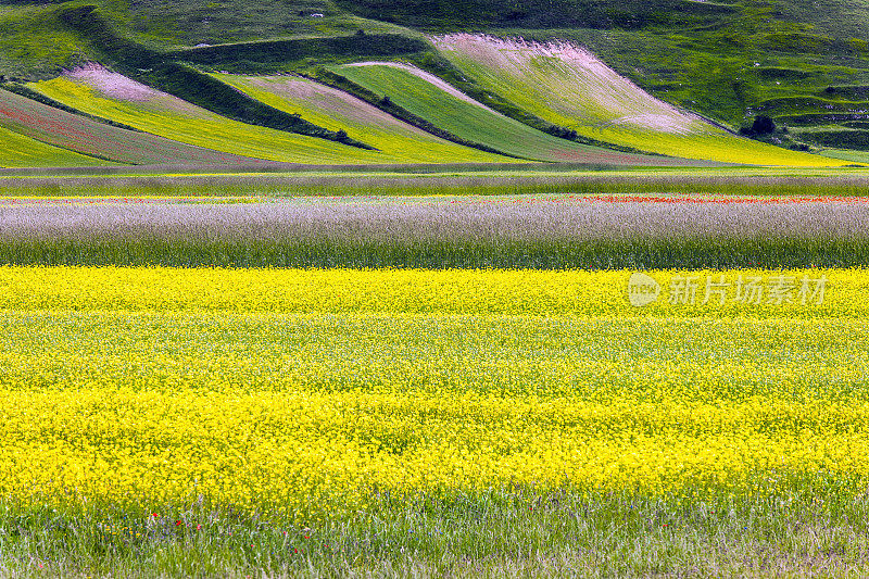 Piano Grande di Castelluccio(意大利)，绿色山丘上的村庄